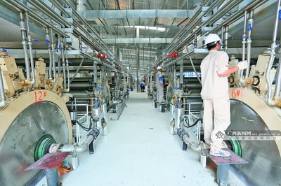 廣西農(nóng)業(yè)爭(zhēng)相扎根東盟“沃土” 木薯變性淀粉產(chǎn)業(yè)迎發(fā)展新機(jī)