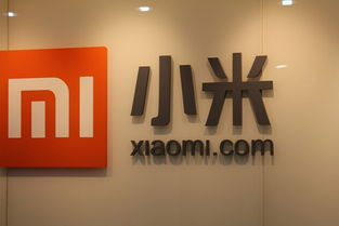 路飯網播報 小米特色功能引關注，Google AdSense廣告業務意外受干擾